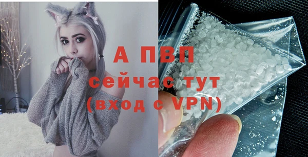 ПСИЛОЦИБИНОВЫЕ ГРИБЫ Волоколамск