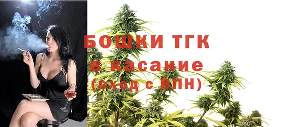 apvp Горнозаводск