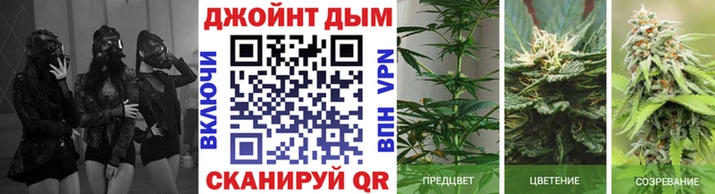 Марихуана тримм  купить   Долинск 